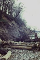 View north along the beach